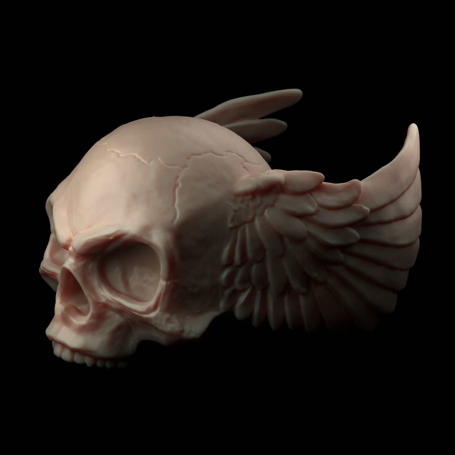 skull angel wings 3D print model_9