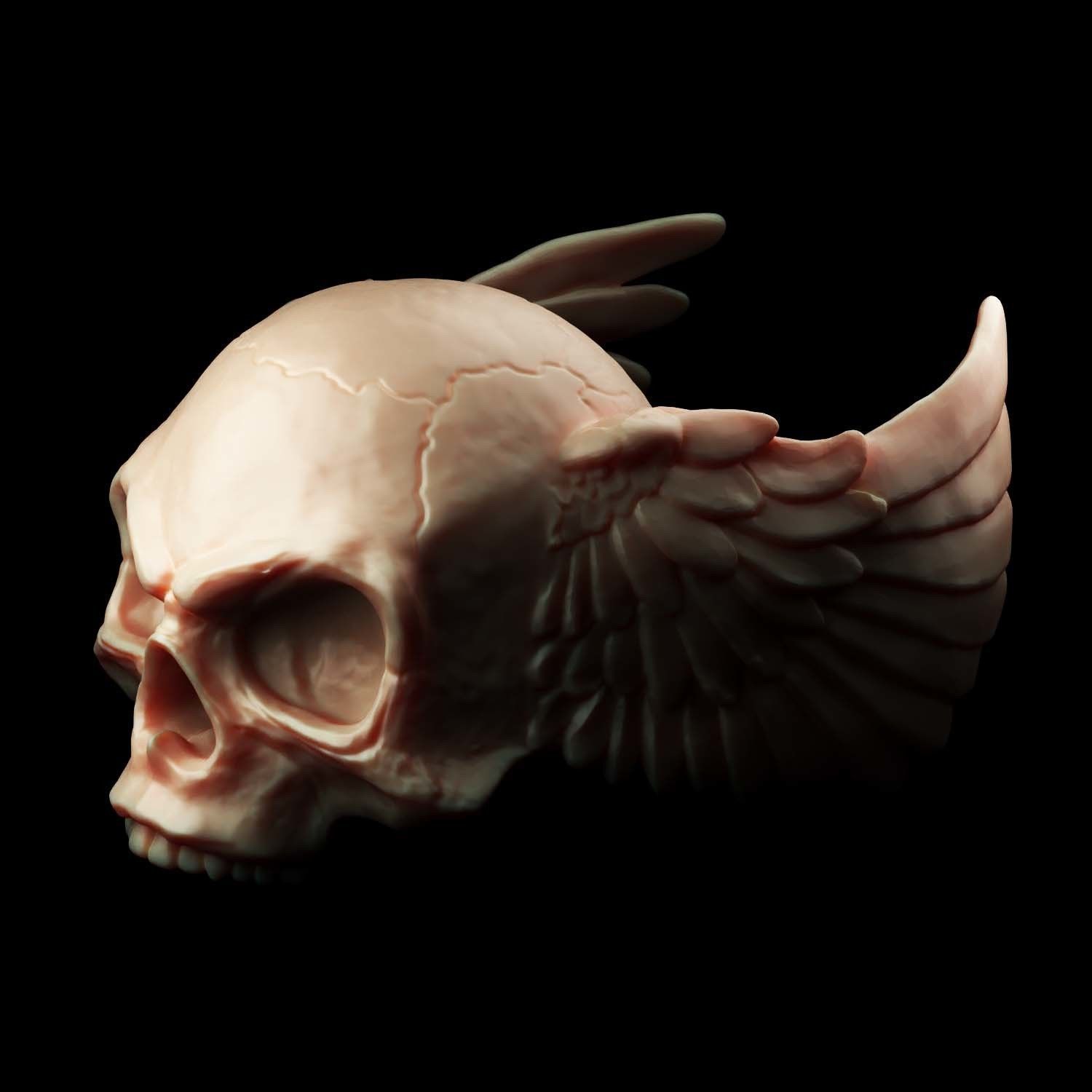 skull angel wings 3D print model_2