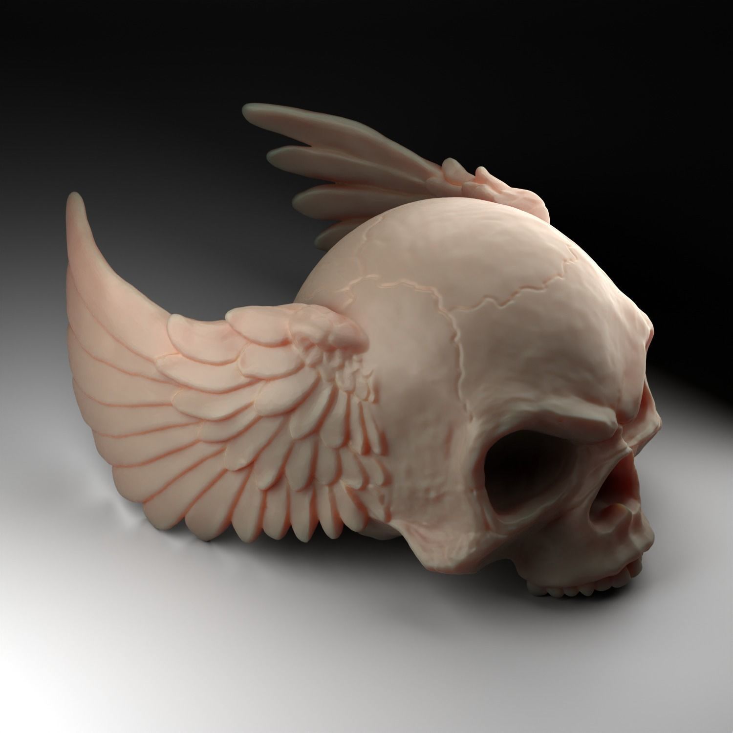 skull angel wings 3D print model_8
