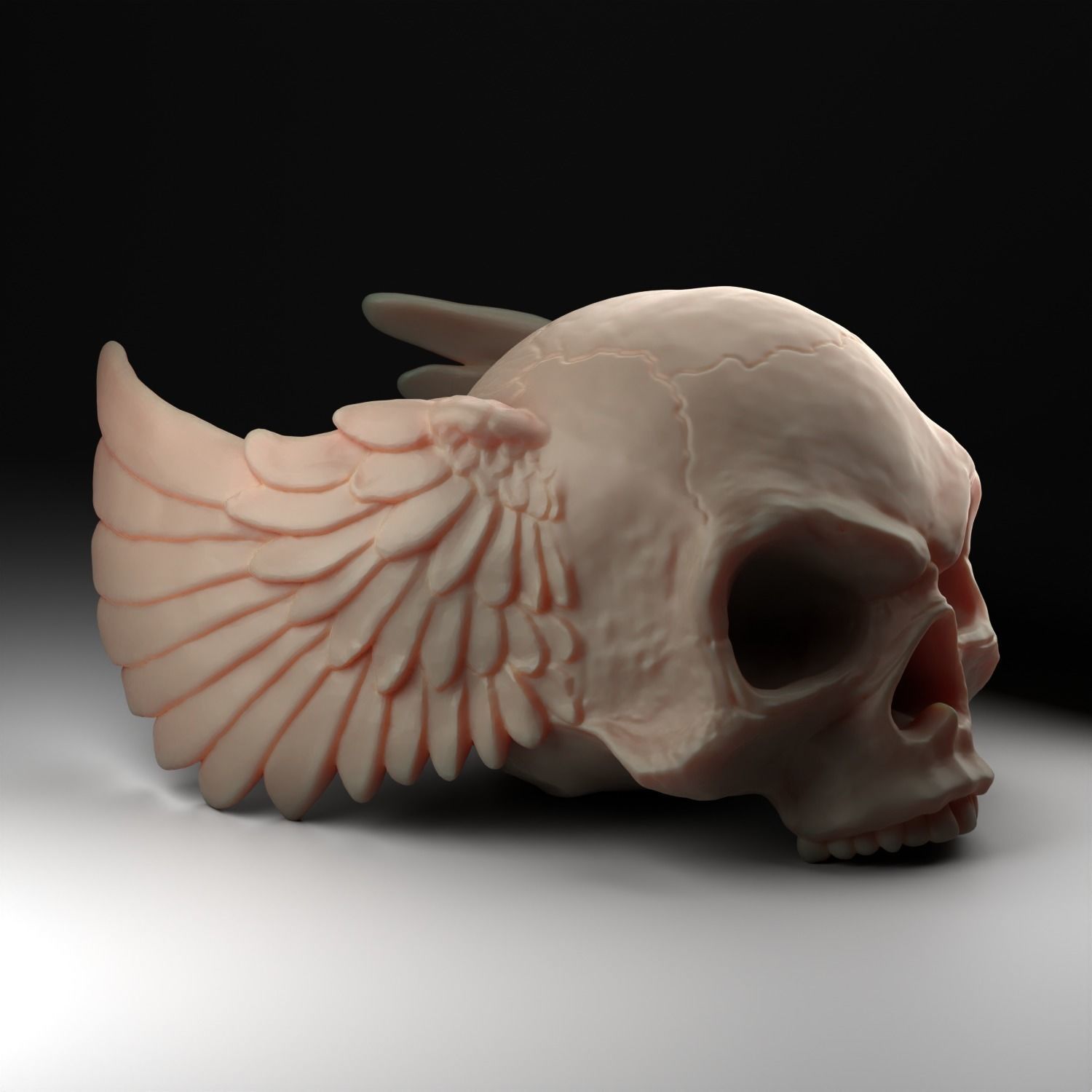 skull angel wings 3D print model_5