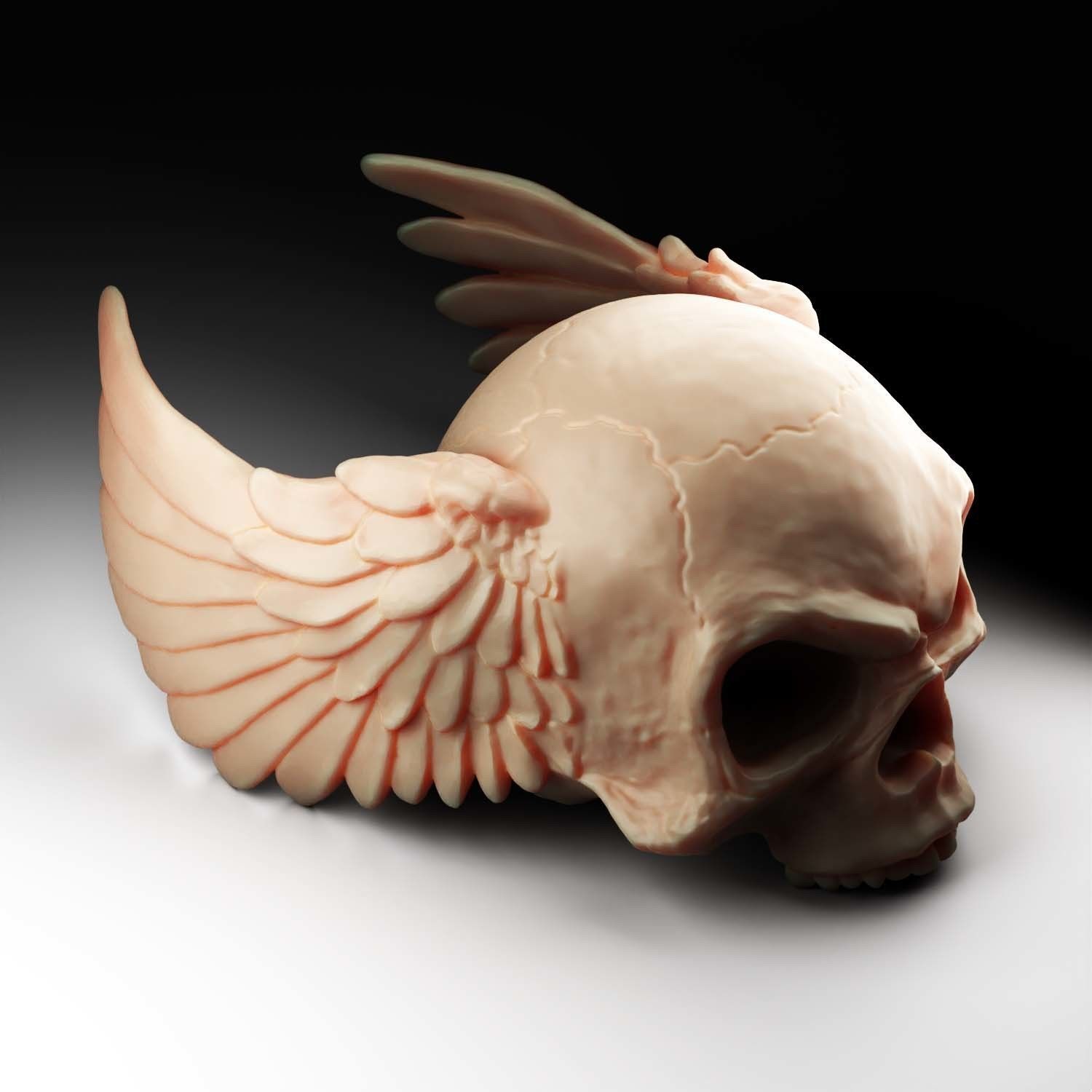 skull angel wings 3D print model_7