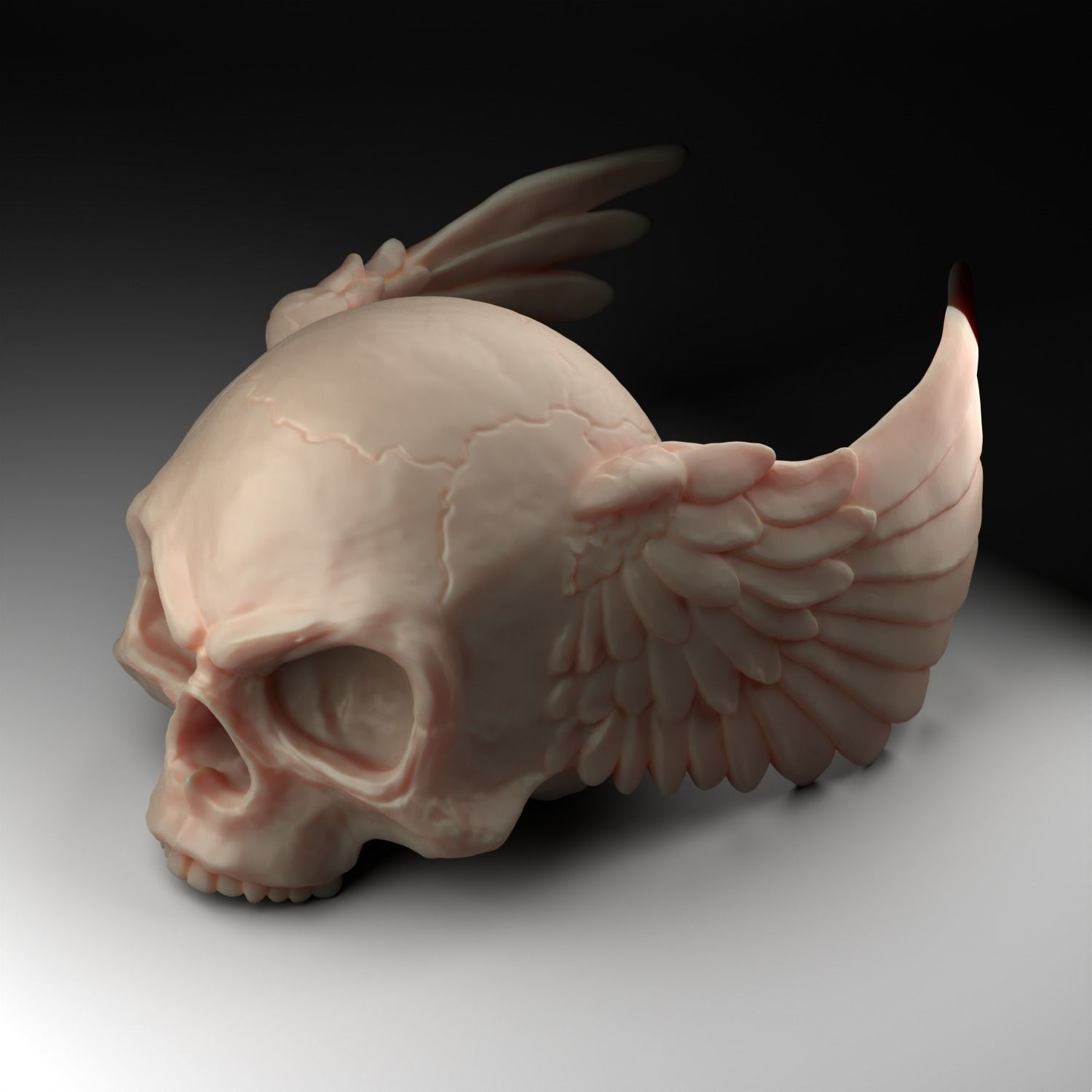 skull angel wings 3D print model_10