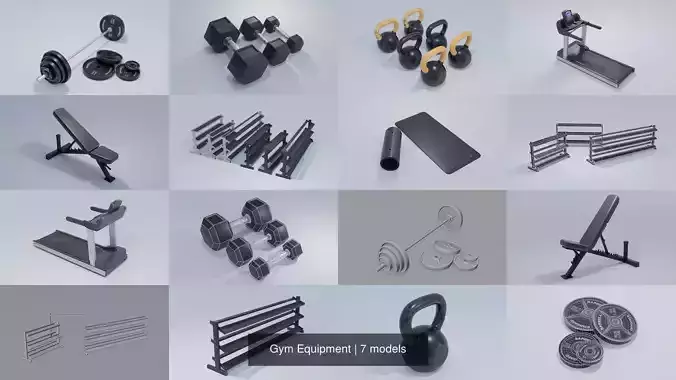 Gym Equipment 3D Model Collection