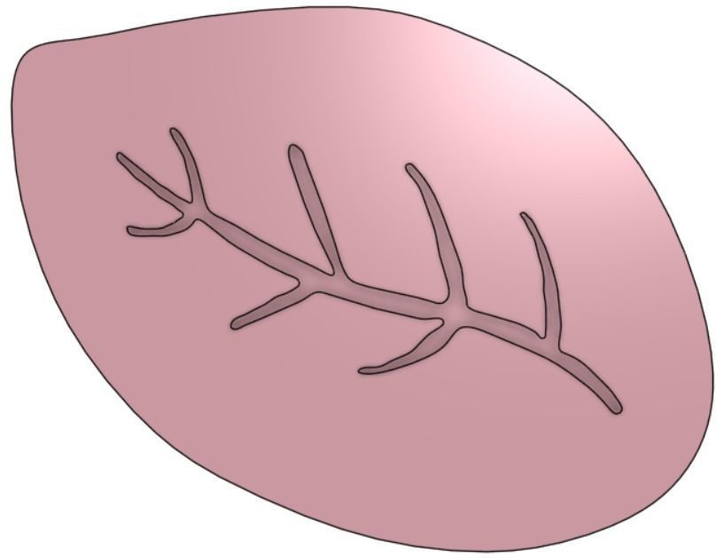 LEAF-LIKE SOAP 3D print model_10