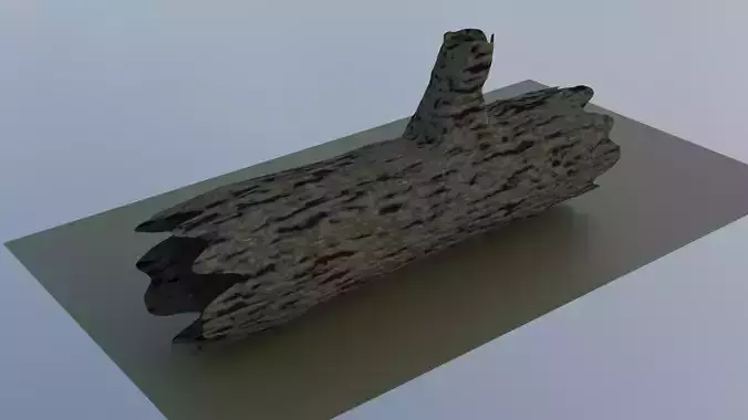 Log wood 3D Model
