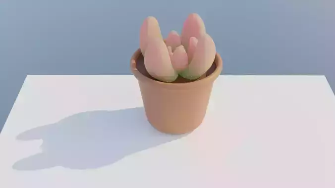 Plant CACTUS Lowpoly