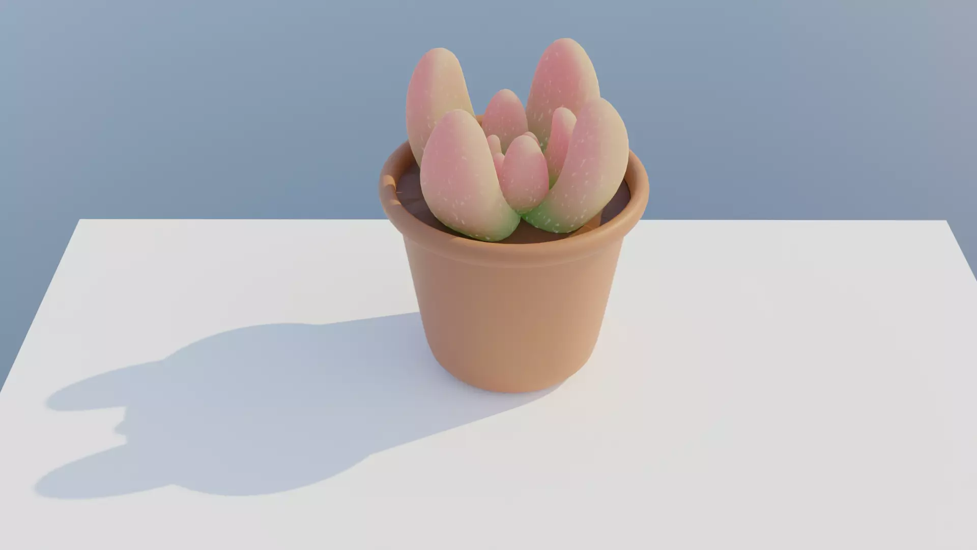 Plant CACTUS Lowpoly Free 3D model