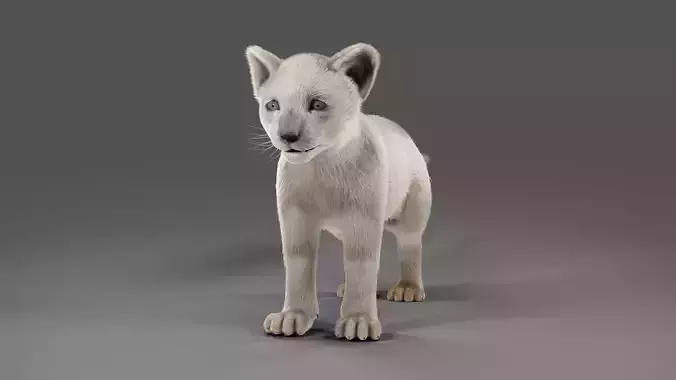 Fur White Lion Cub No Rigged