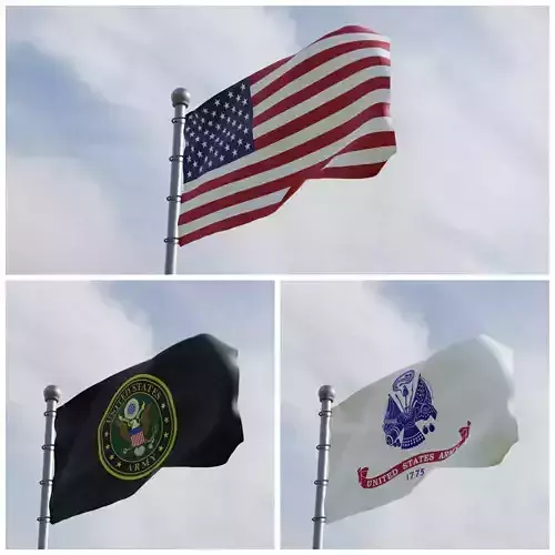 Animated American US Flags 3D model