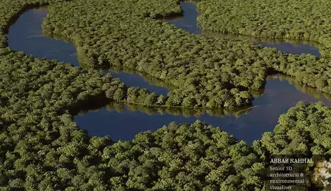Forest mangrove in brazil - Corona Render