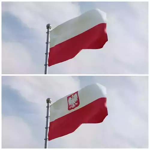 Animated Poland Flags 3D model