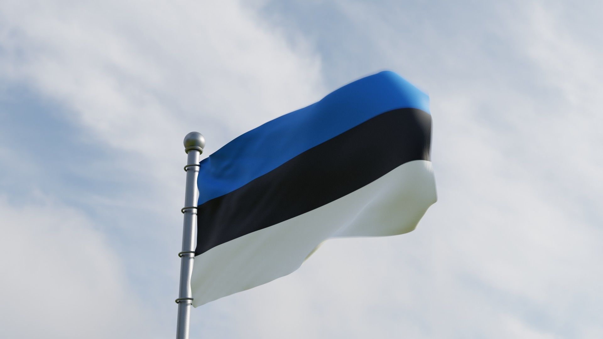 Animated Estonia Flags 3D model_1