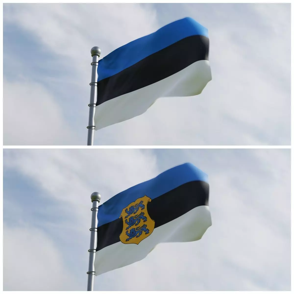 Animated Estonia Flags 3D model_0