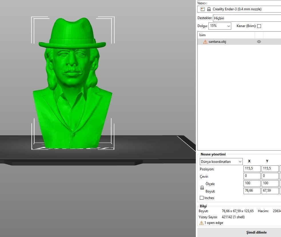 Carlos Santana 3D print model_11
