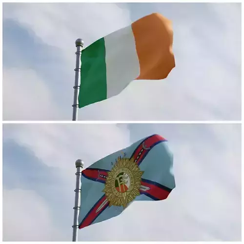 Animated Ireland Flags 3D model