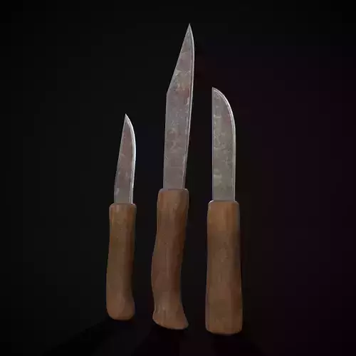 Three Worn Parring Knives