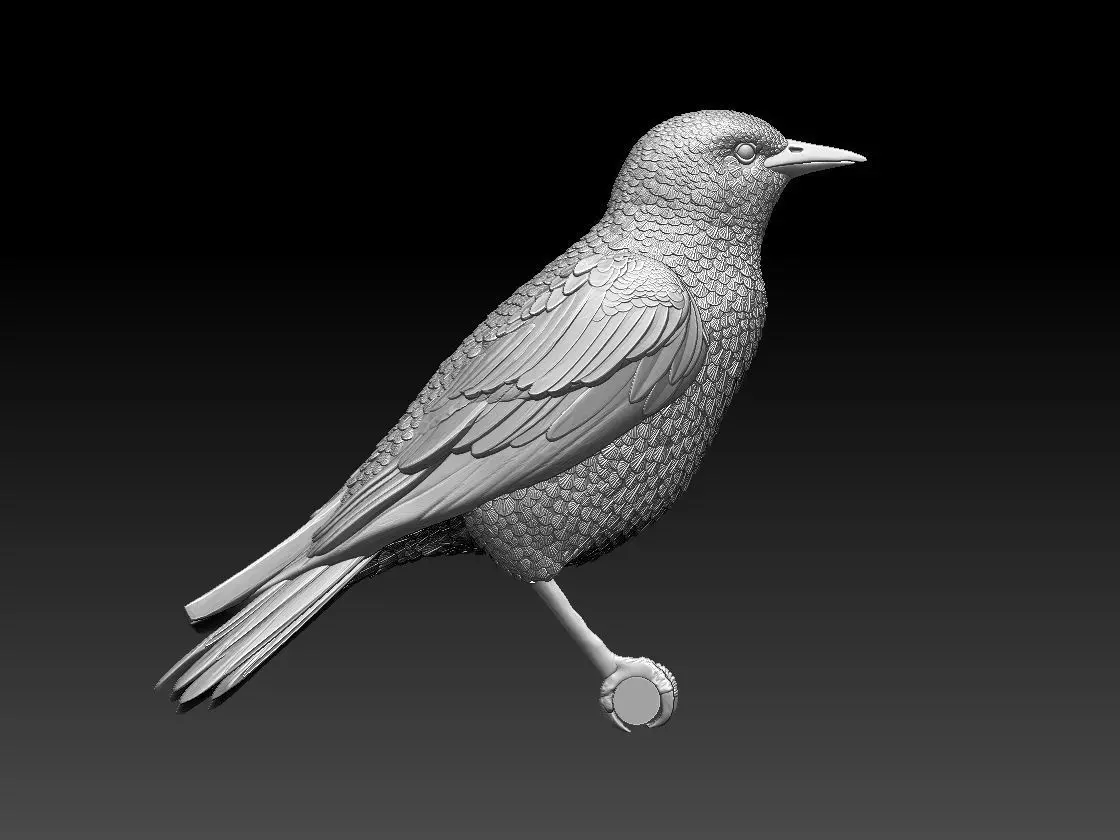 starling eagle 3D print model_0