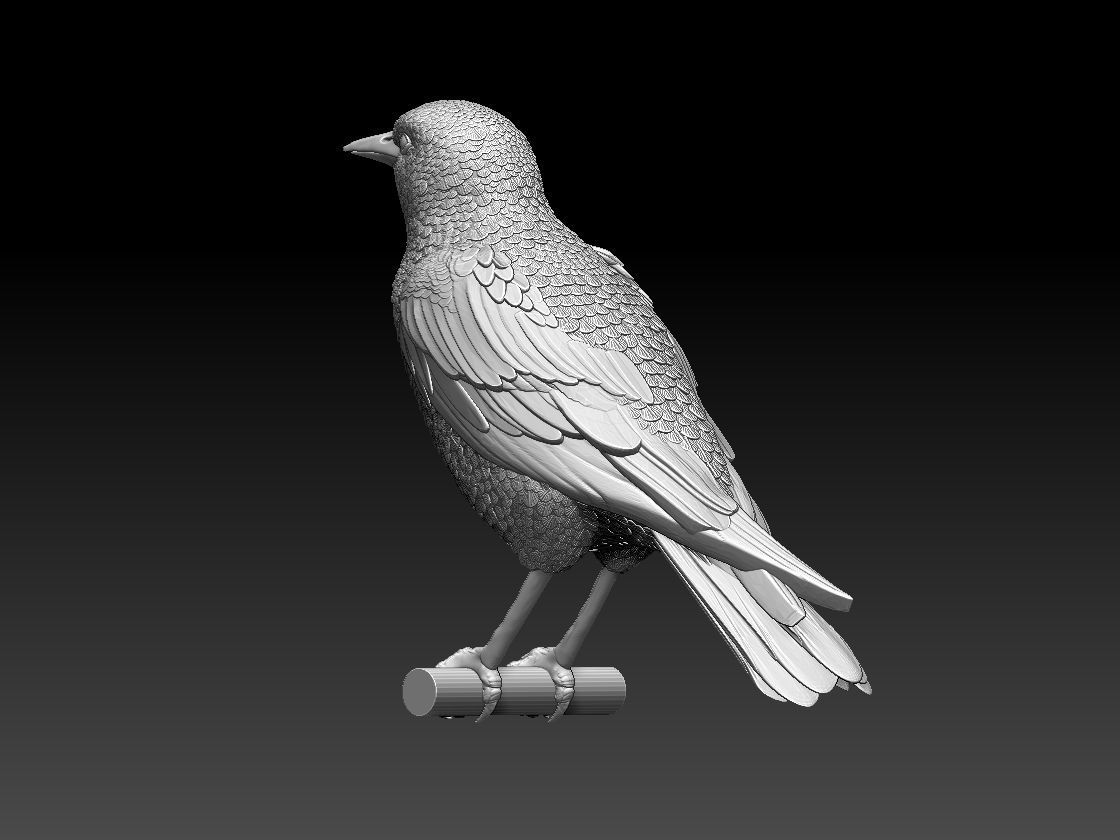 starling eagle 3D print model_43