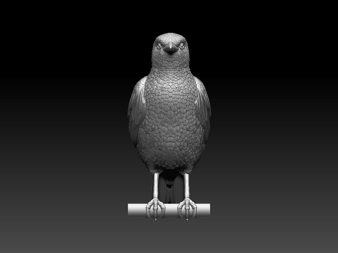 starling eagle 3D print model_54
