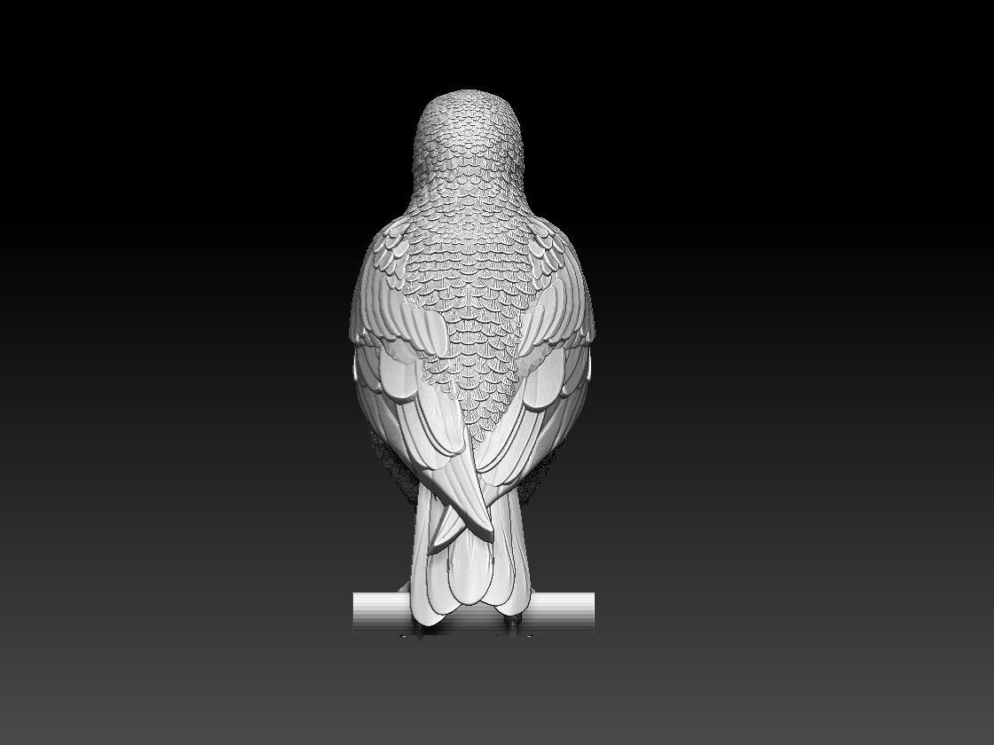 starling eagle 3D print model_18