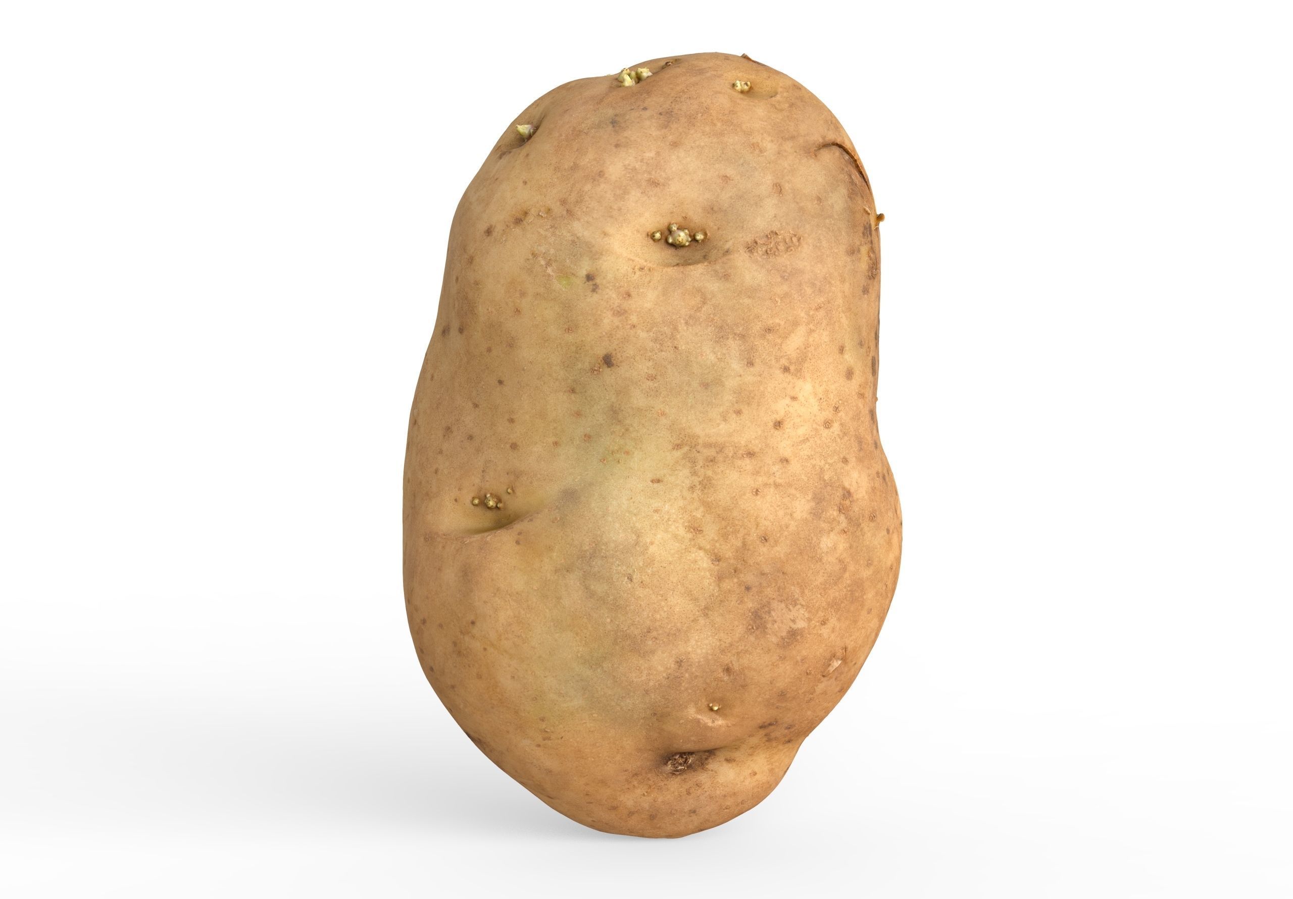 Potato 3d model Low-poly 3D model