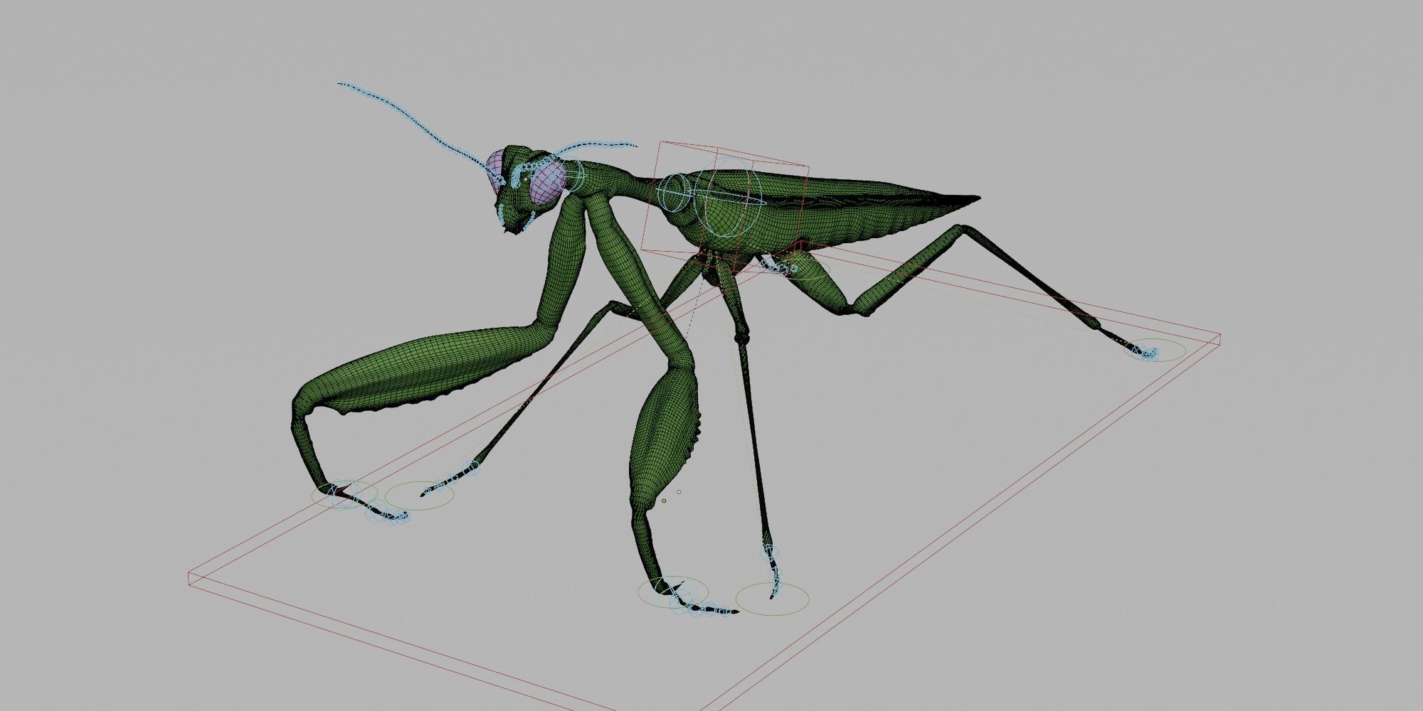 Praying Mantis 3D model_5