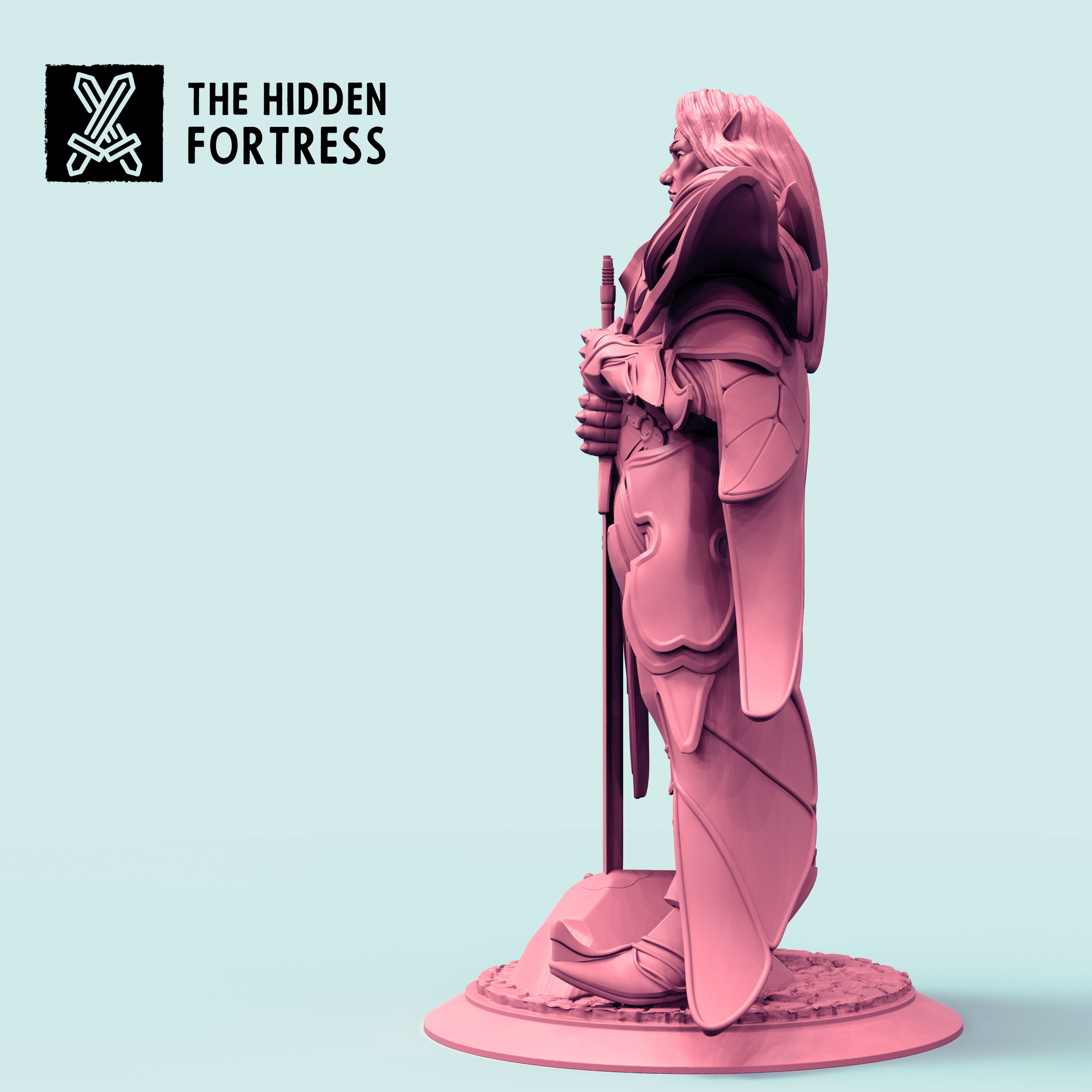 Eoin Elf Paladin 3D print model_4