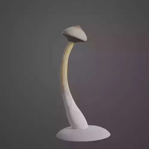 Mushroom and Cactus Low-poly 3D model