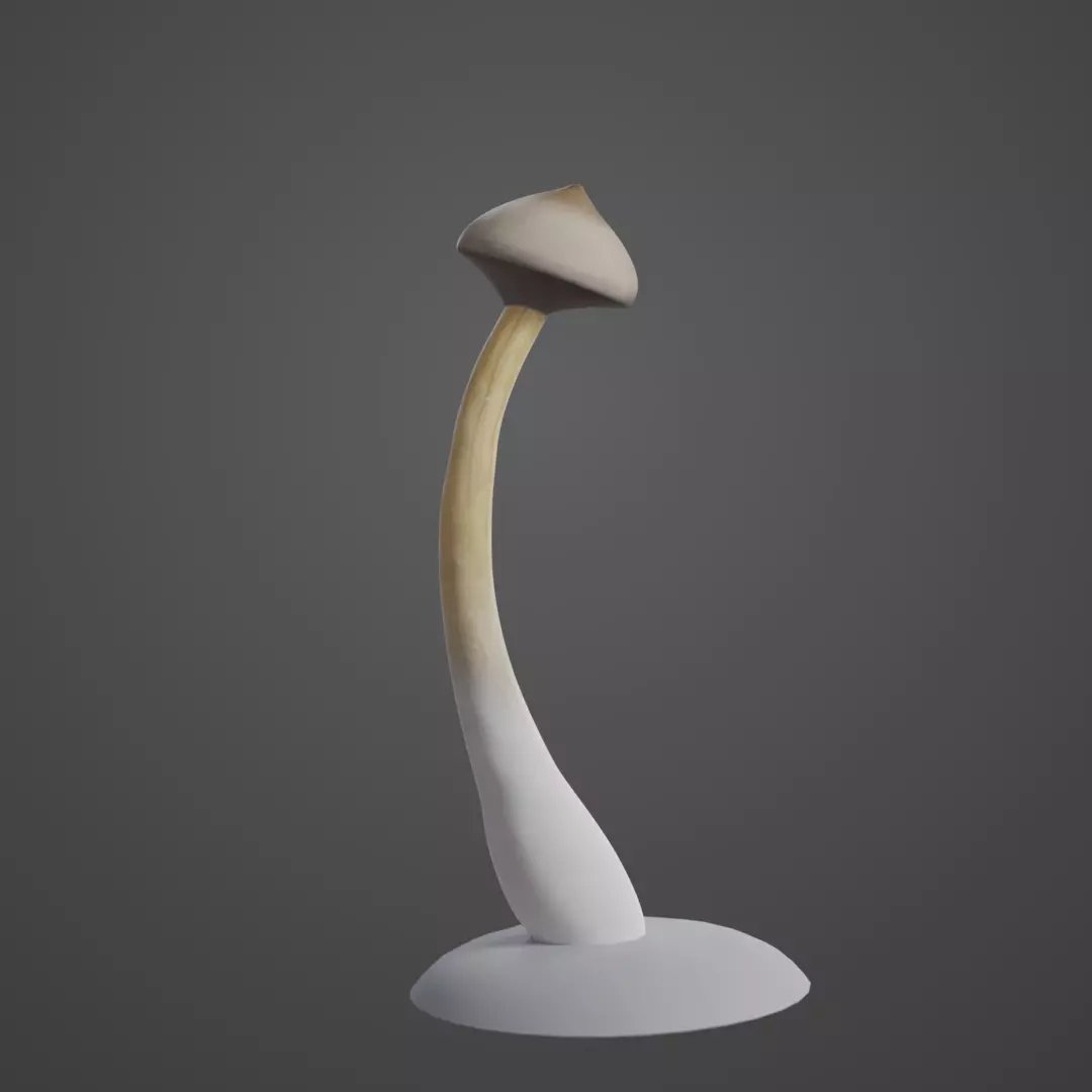 Mushroom and Cactus Low-poly 3D model