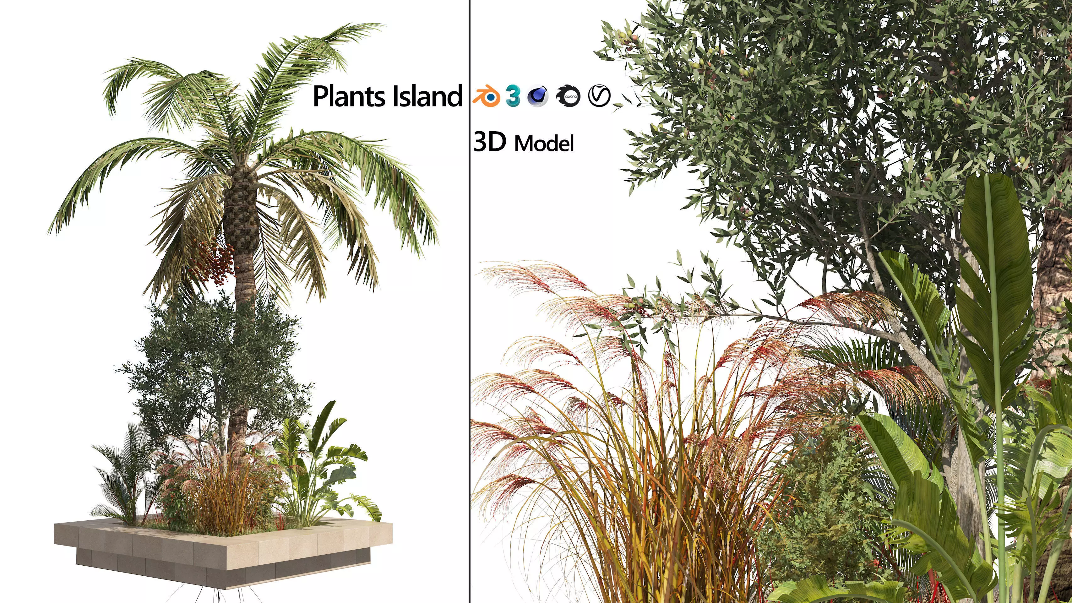 Garden Island plants  Low-poly 3D model_0