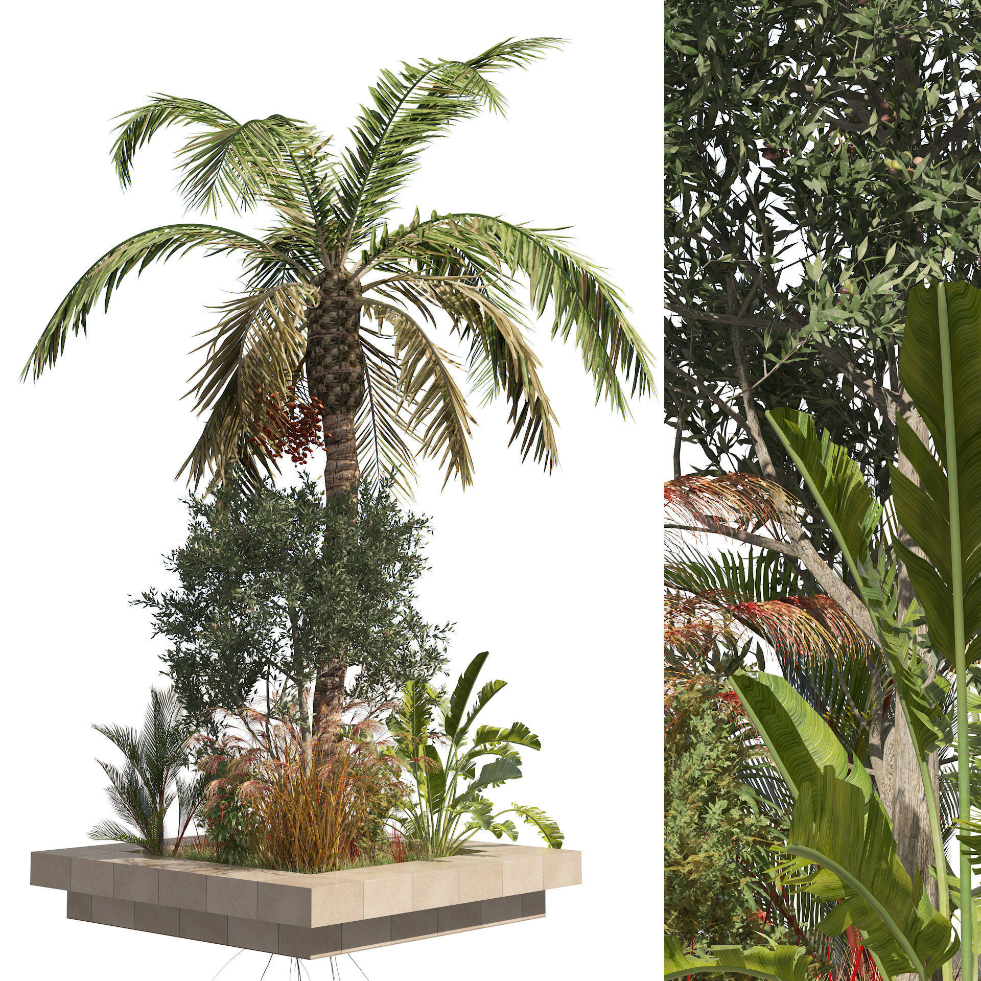 Garden Island plants  Low-poly 3D model_6