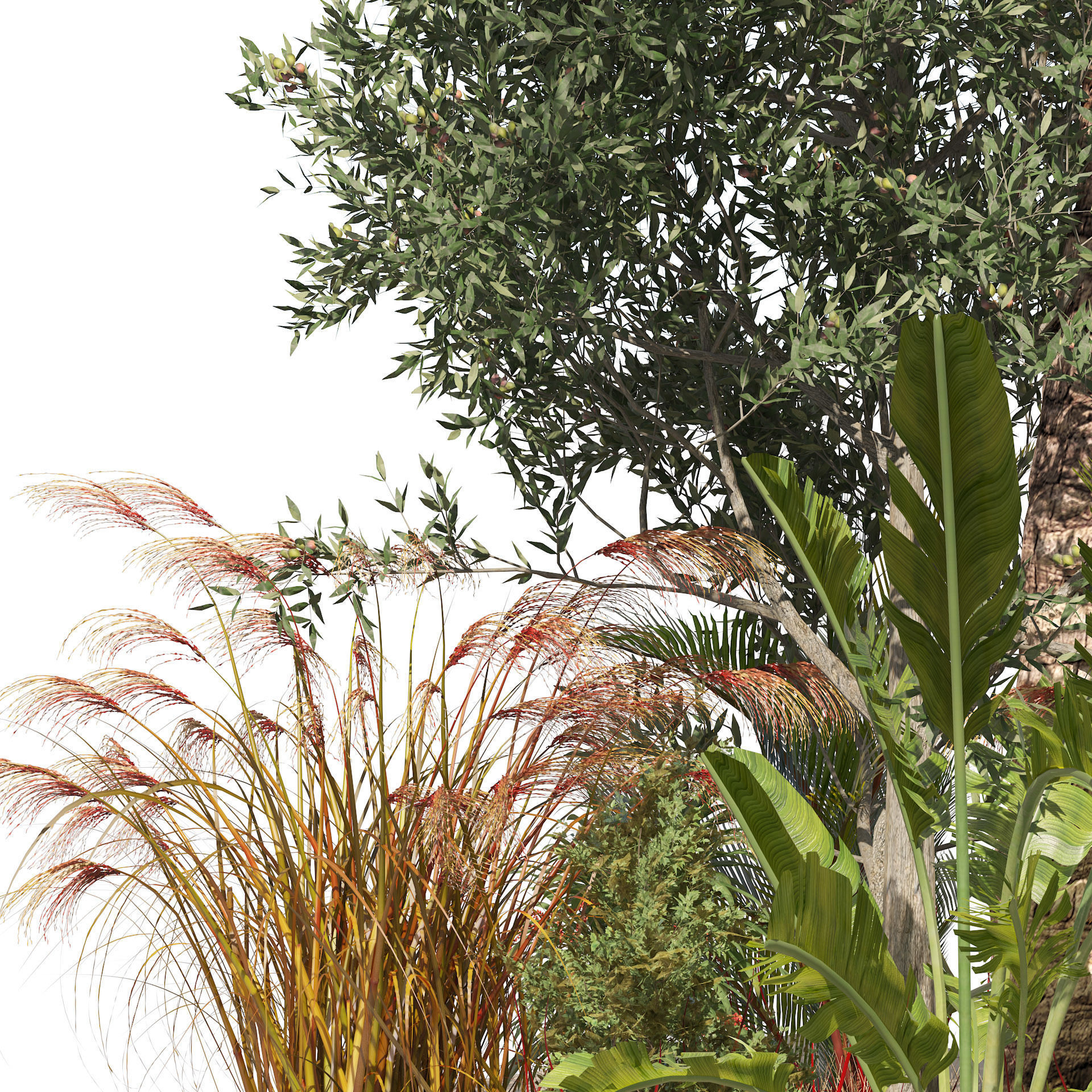 Garden Island plants  Low-poly 3D model_4