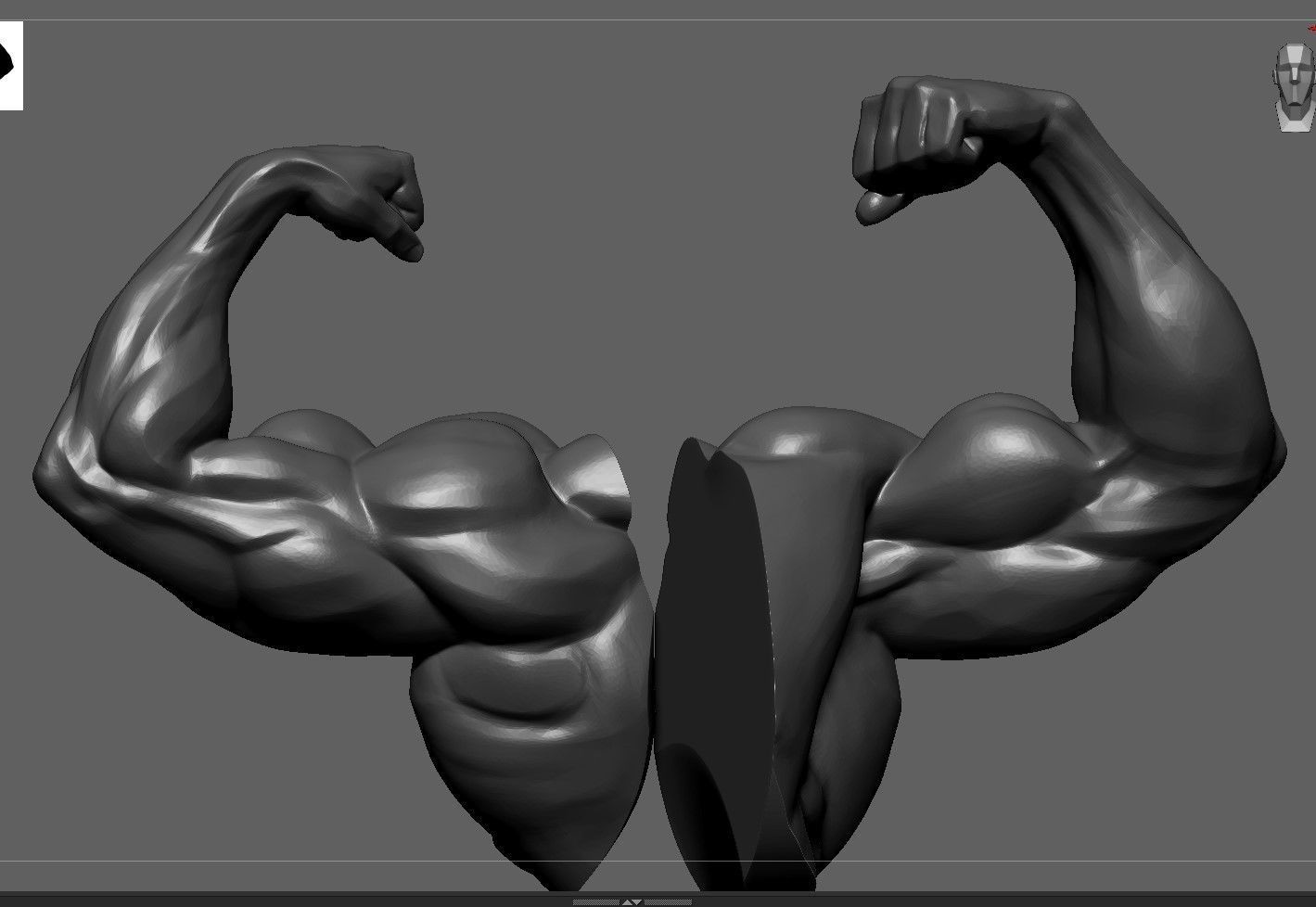 Muscular Arm in pose 3D model_1