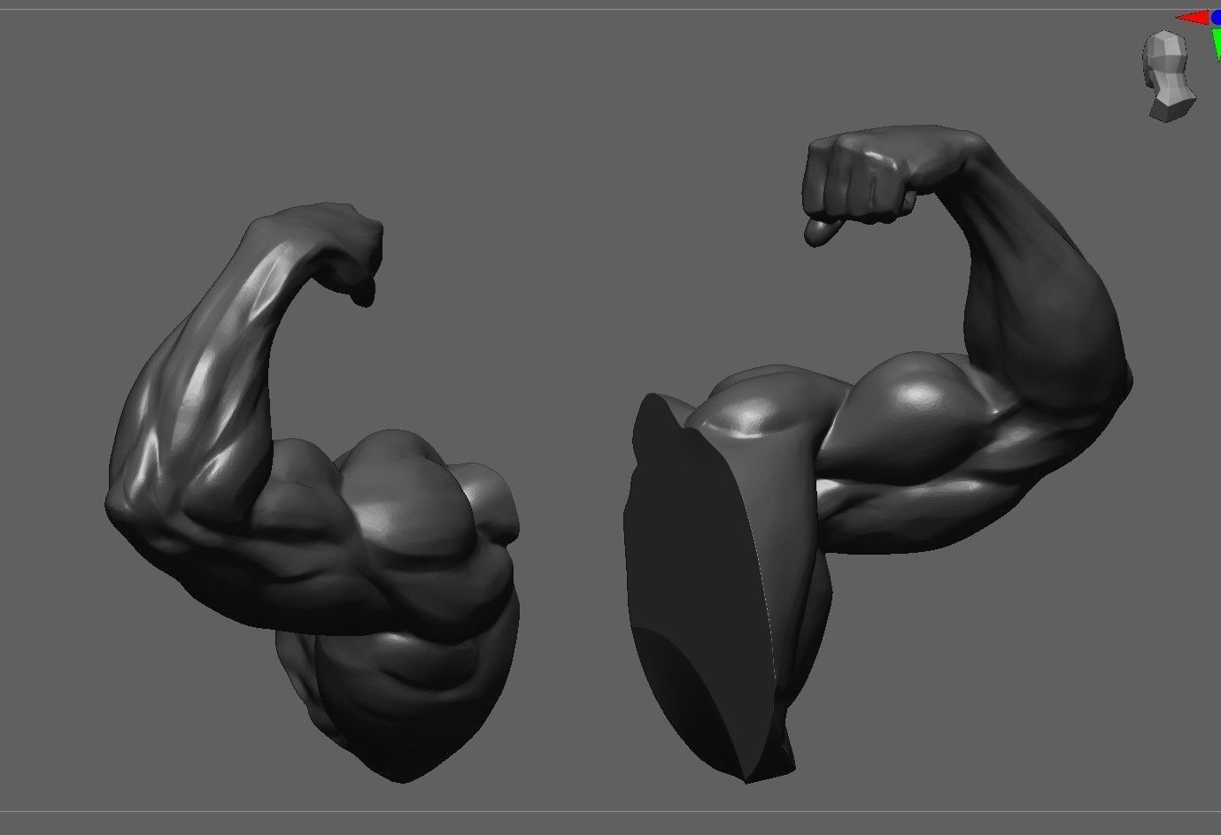 Muscular Arm in pose 3D model_4