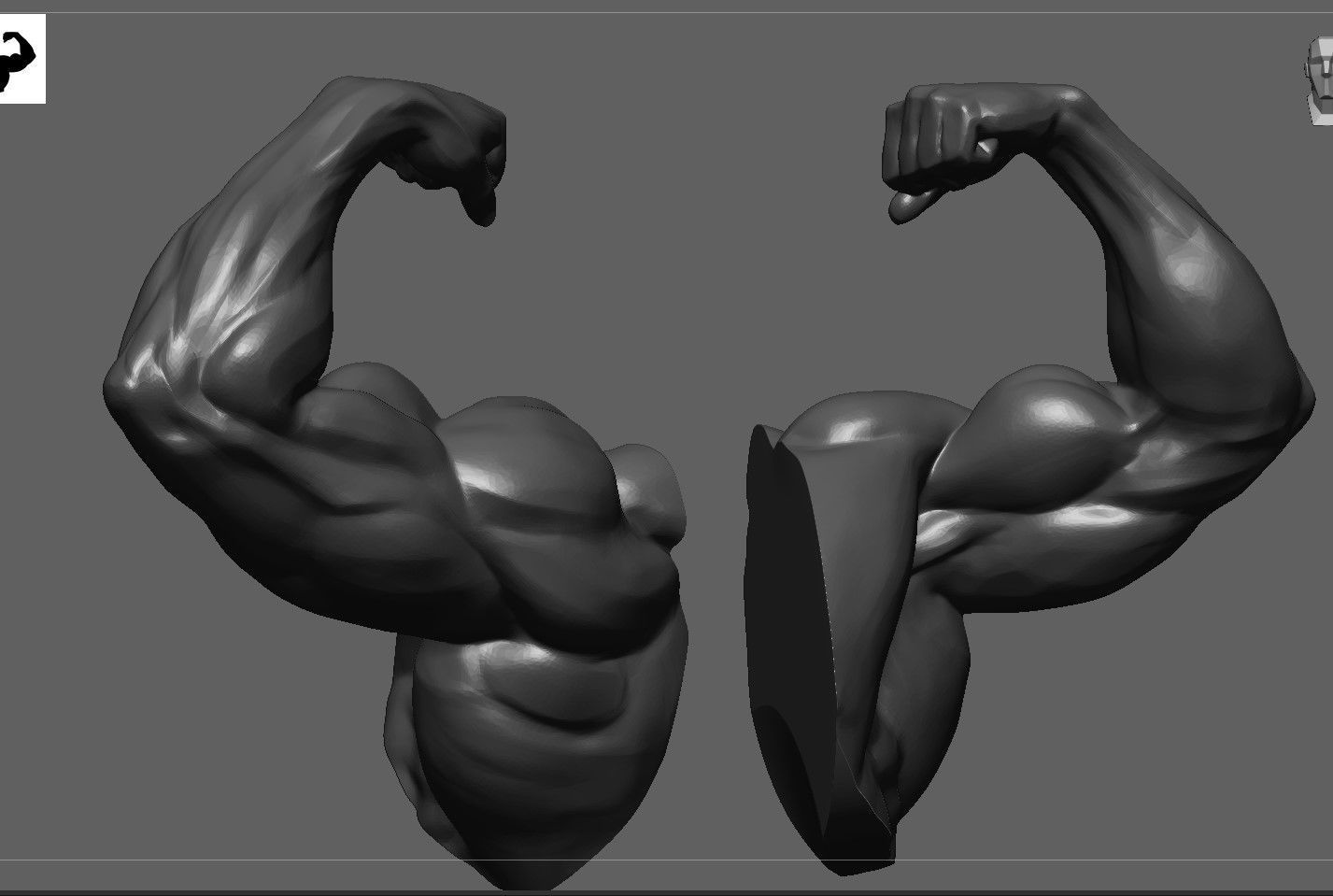 Muscular Arm in pose 3D model_5