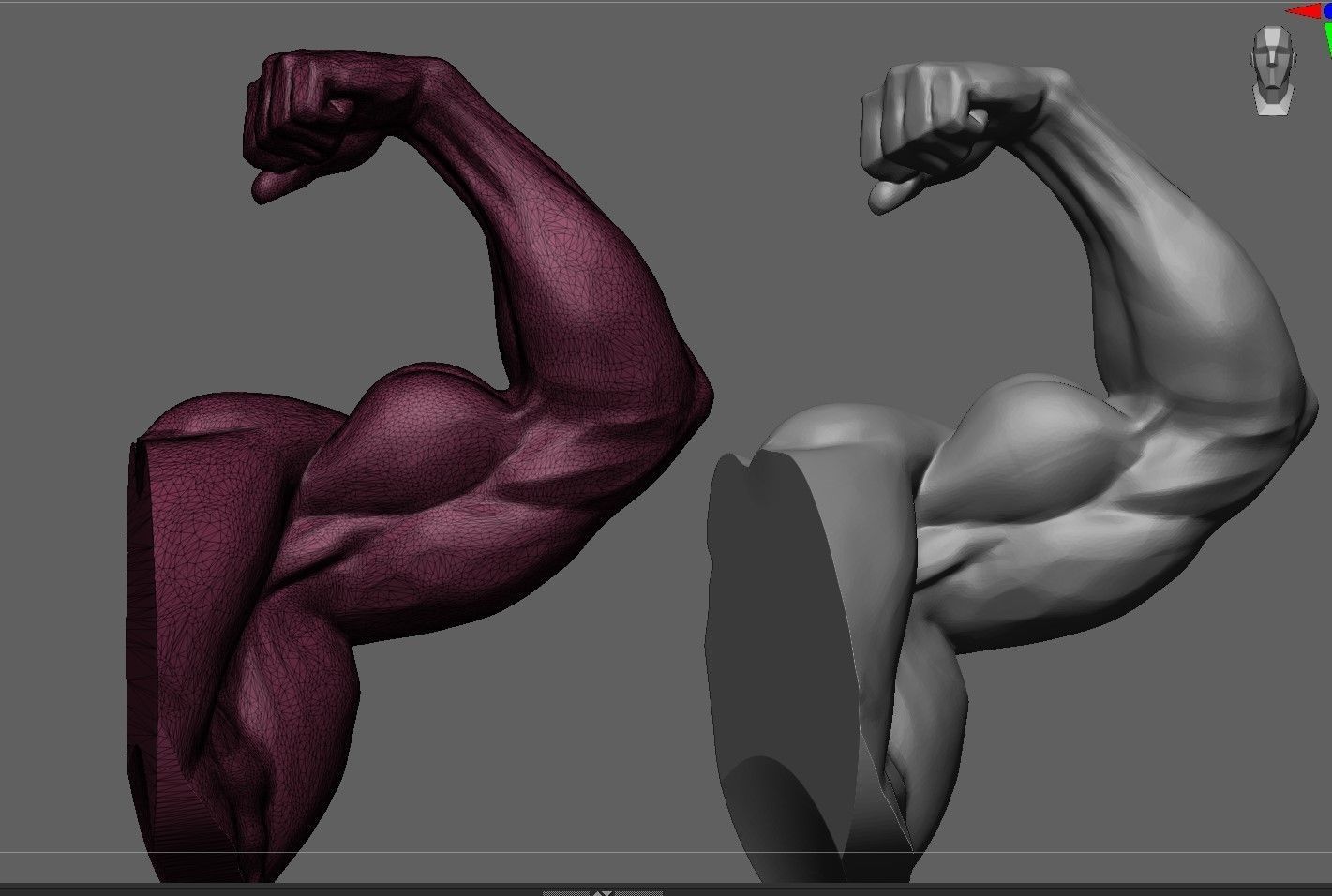 Muscular Arm in pose 3D model_6