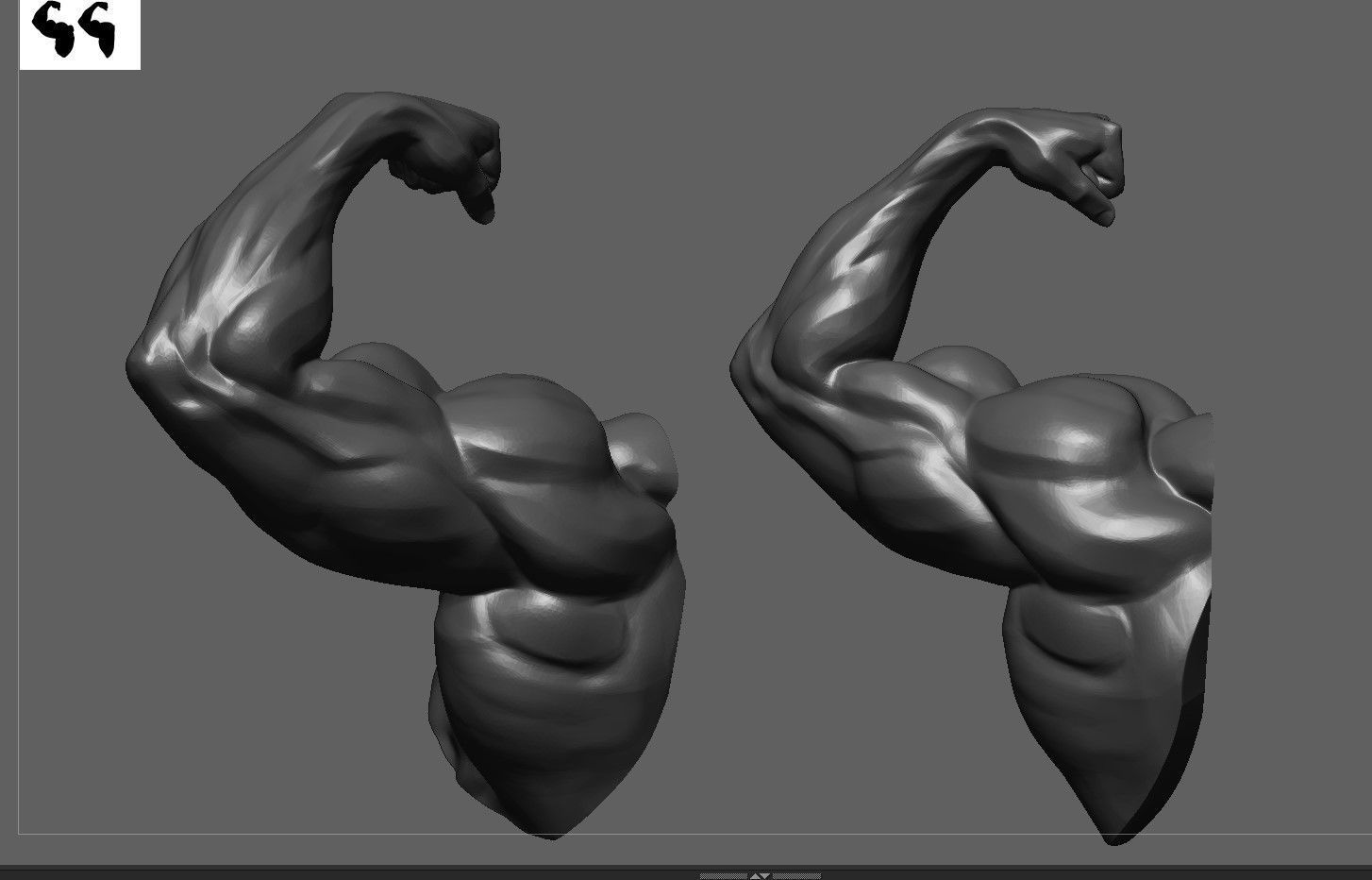 Muscular Arm in pose 3D model_3