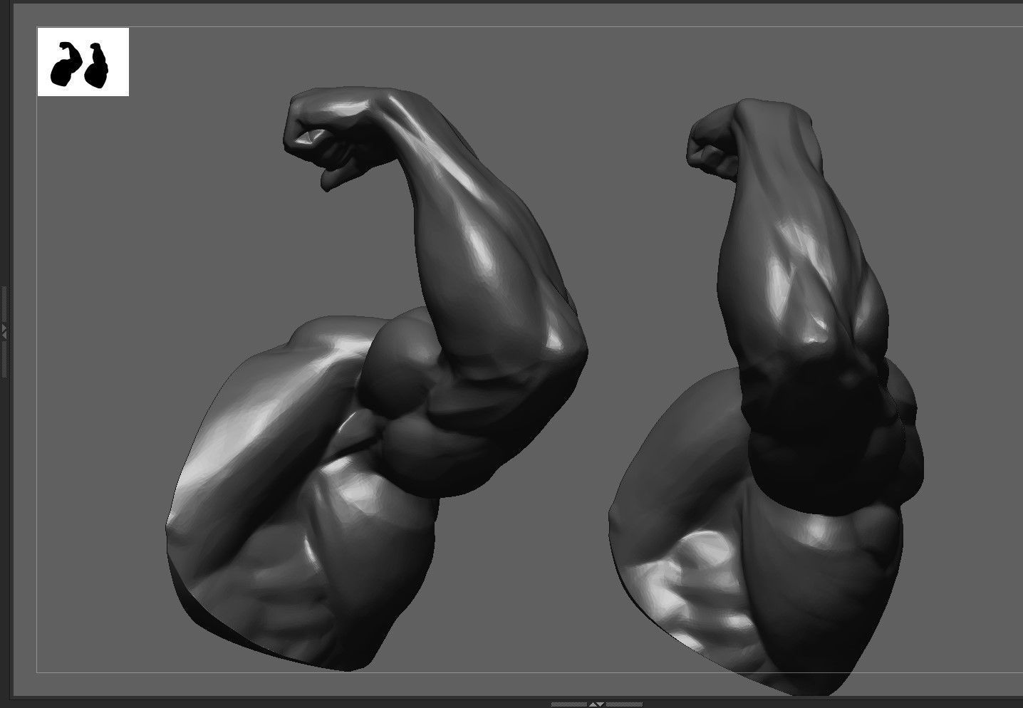 Muscular Arm in pose 3D model_2