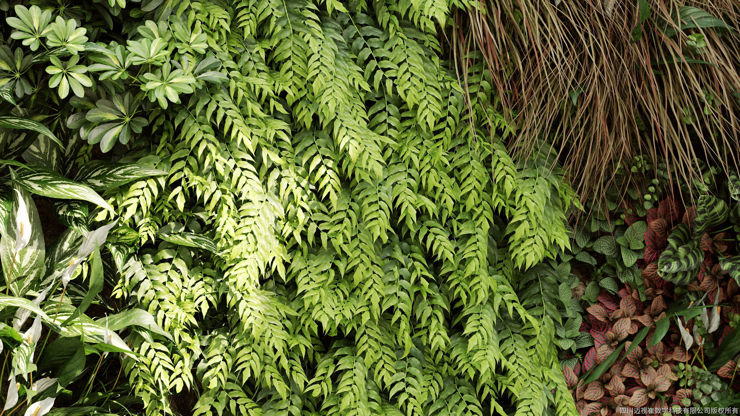 Maxtree Plant Models Vol 4 - Mesh 3D model_2