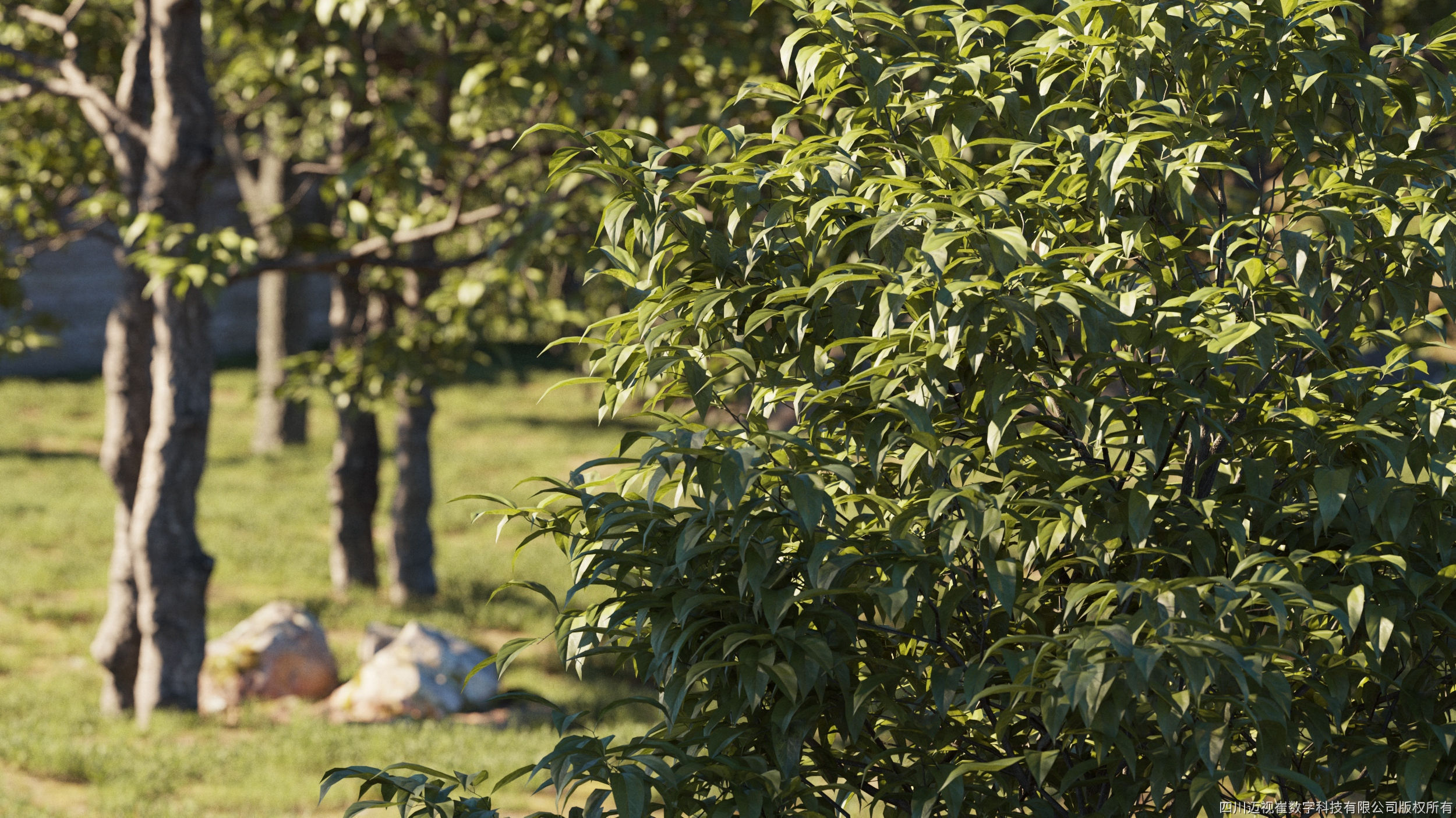 Maxtree Plant Models Vol 5 - Mesh 3D model_1