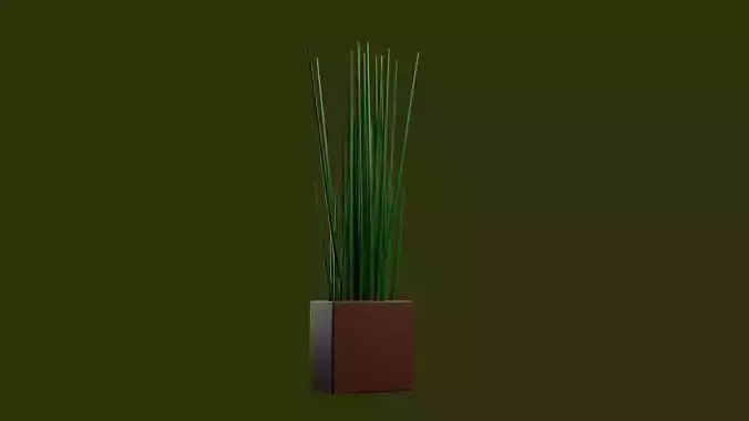 Grass Pot 3D print model