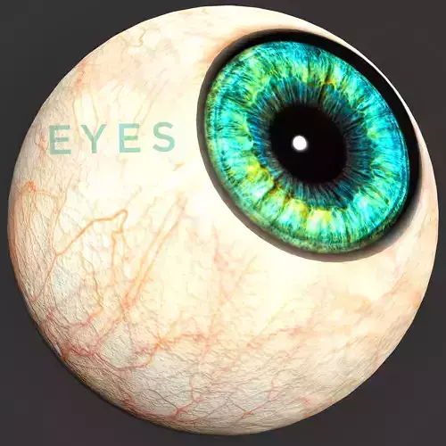 EYE - HUMAN EYE  Low-poly 3D model
