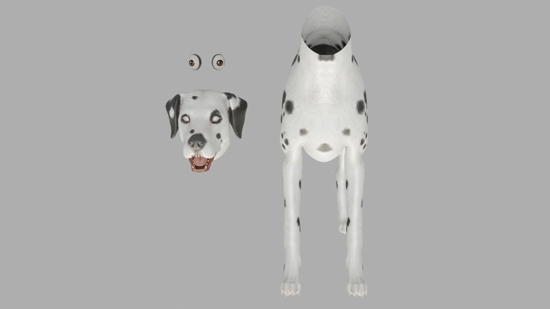DOG  - DALMATAIN  Low-poly 3D model_13