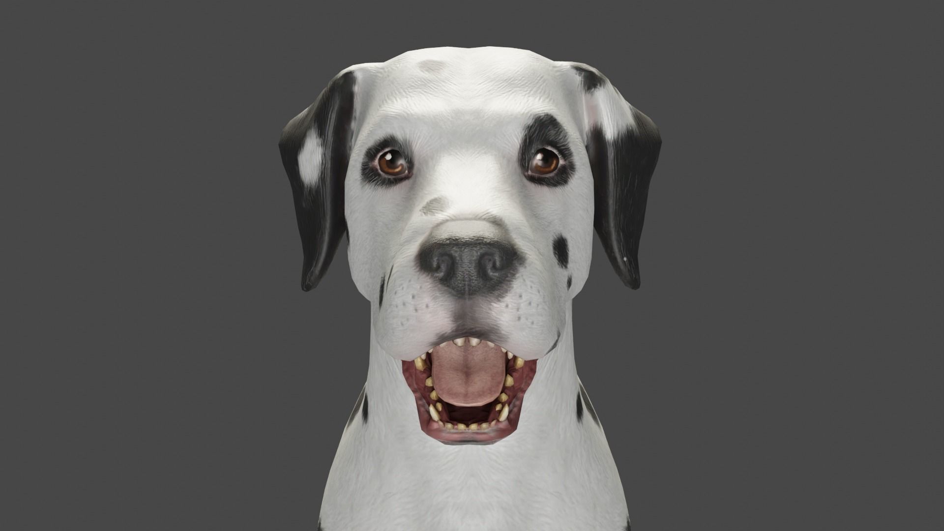 DOG  - DALMATAIN  Low-poly 3D model_12