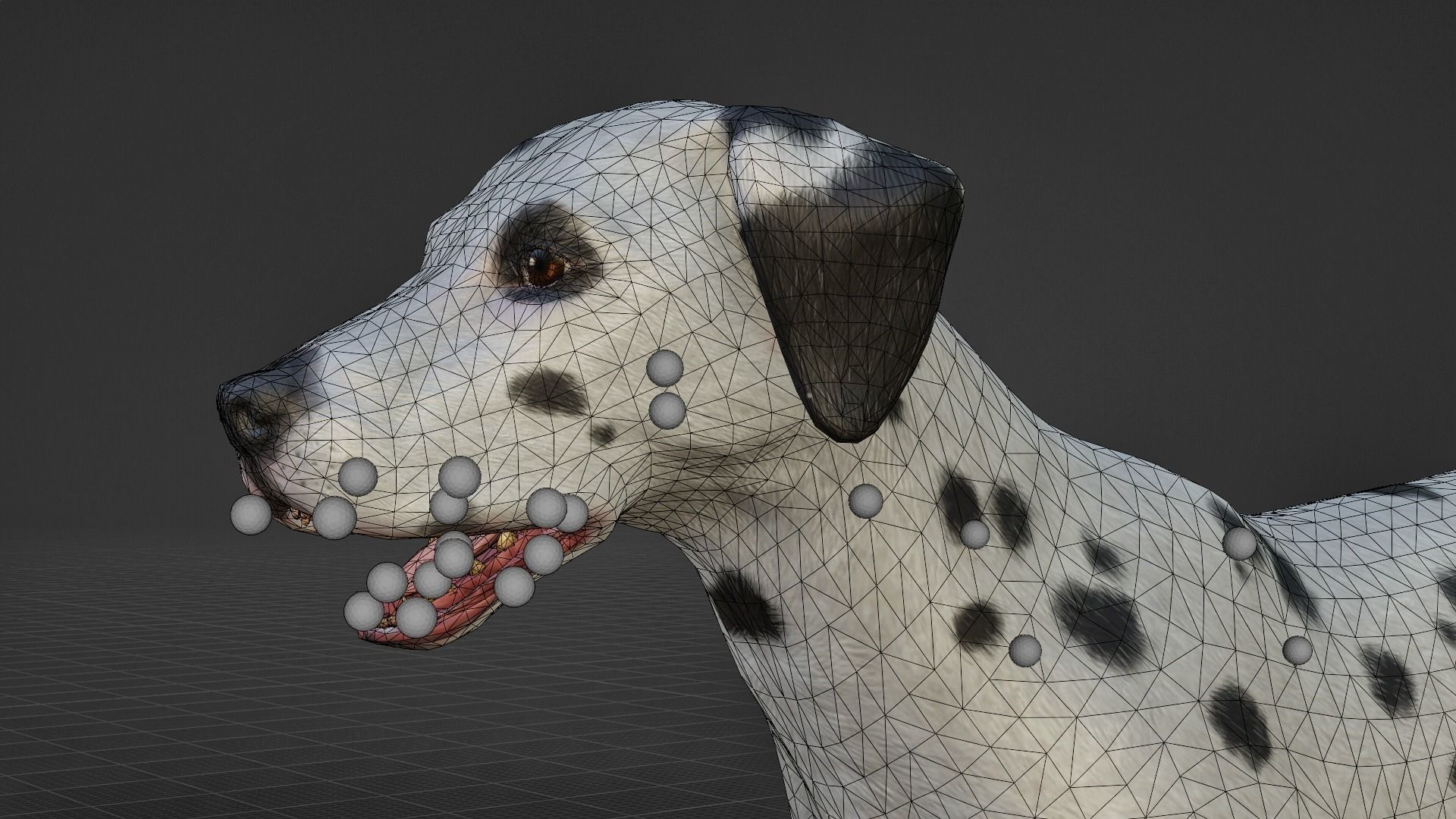 DOG  - DALMATAIN  Low-poly 3D model_2