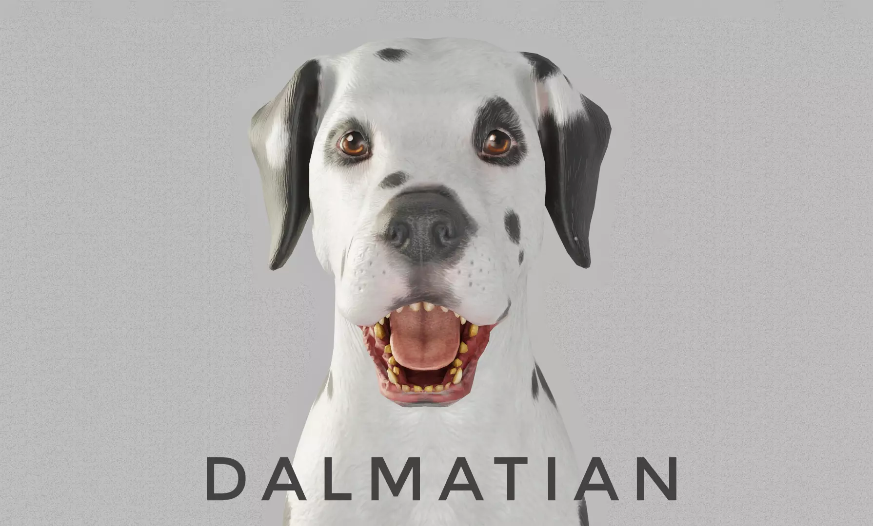 DOG  - DALMATAIN  Low-poly 3D model_0