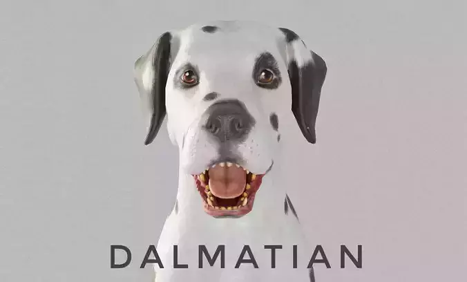 DOG  - DALMATAIN  Low-poly 3D model