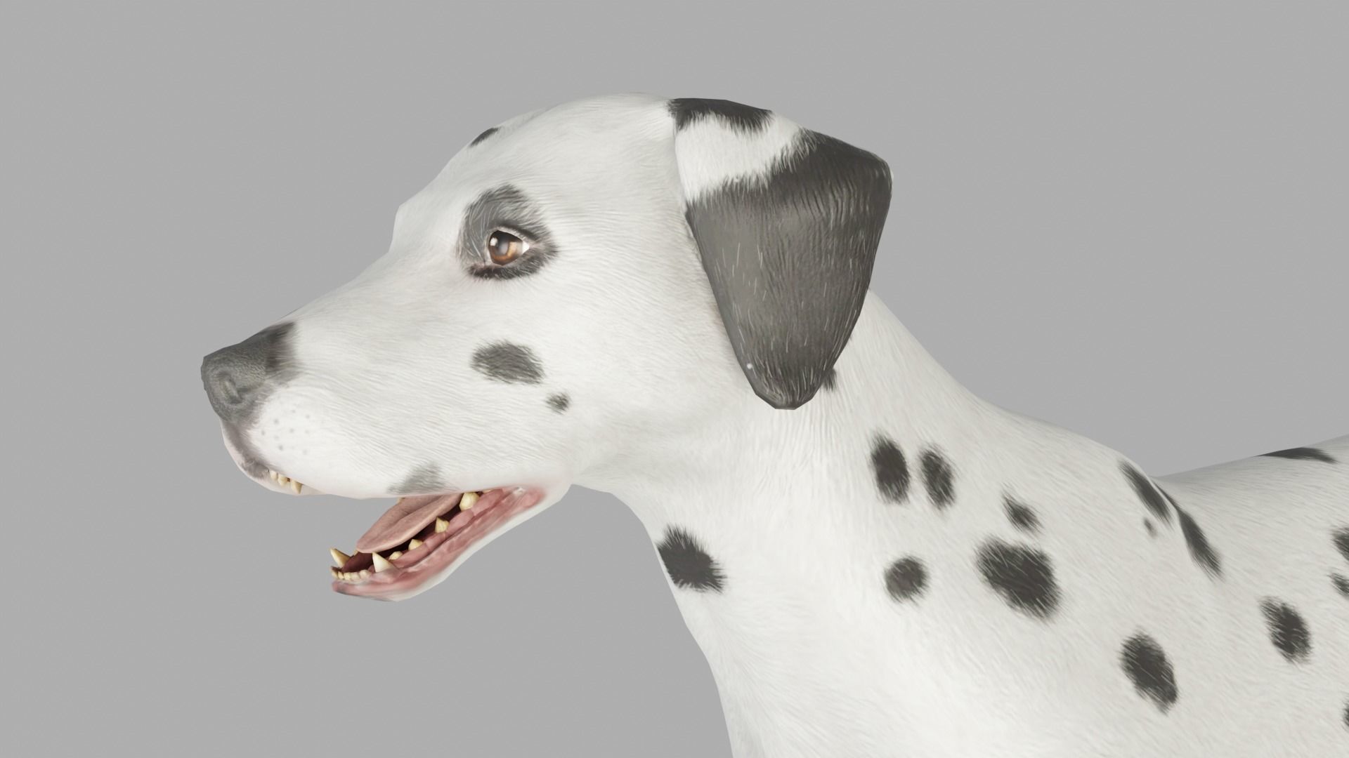 DOG  - DALMATAIN  Low-poly 3D model_3