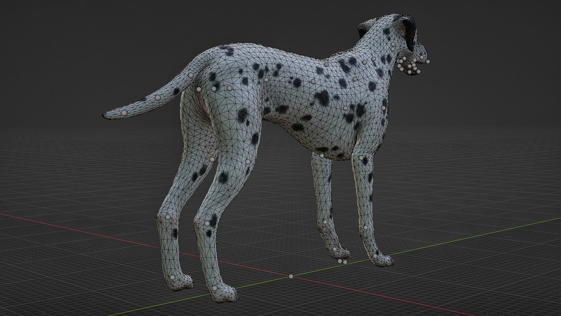DOG  - DALMATAIN  Low-poly 3D model_11