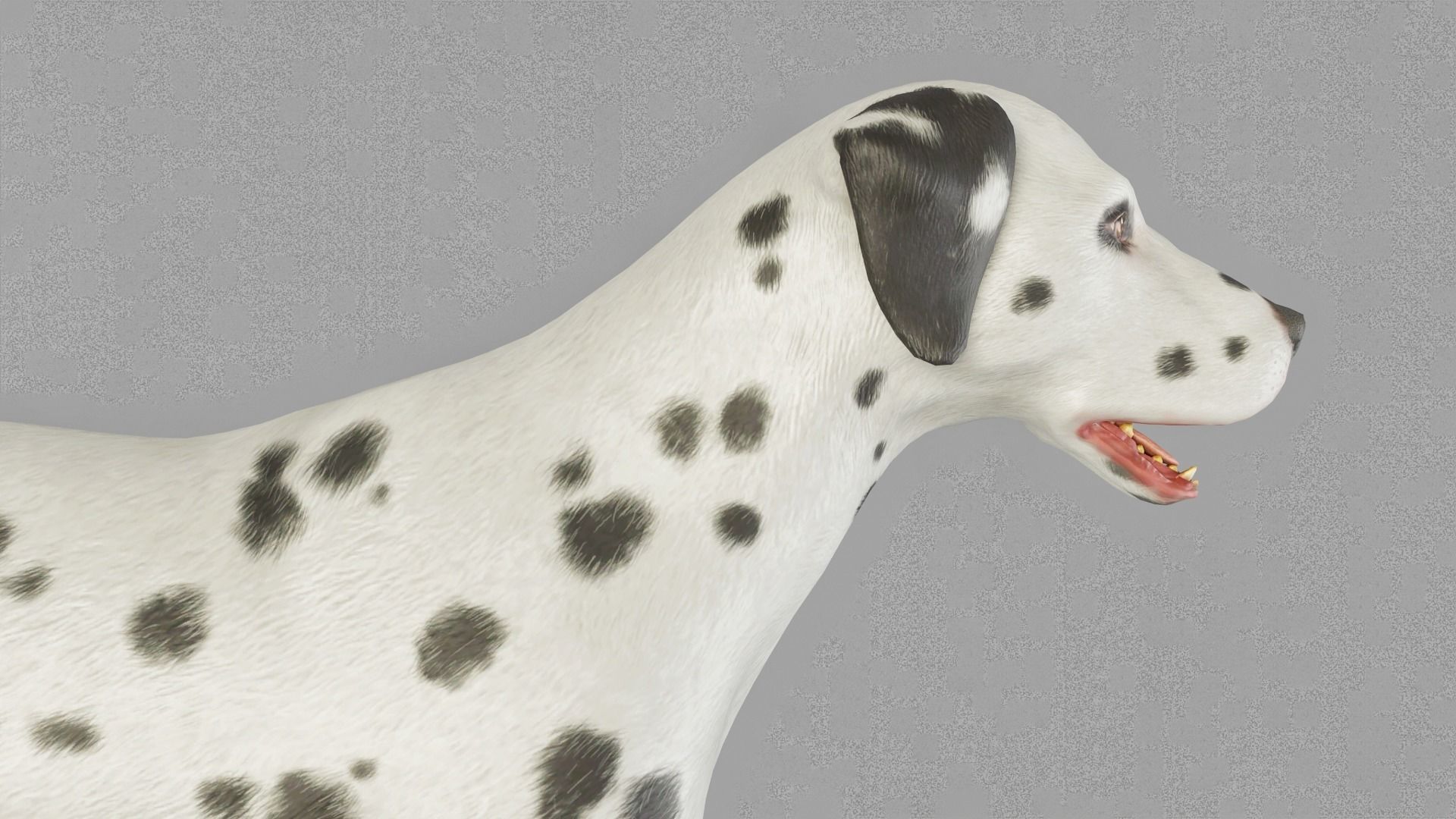 DOG  - DALMATAIN  Low-poly 3D model_7